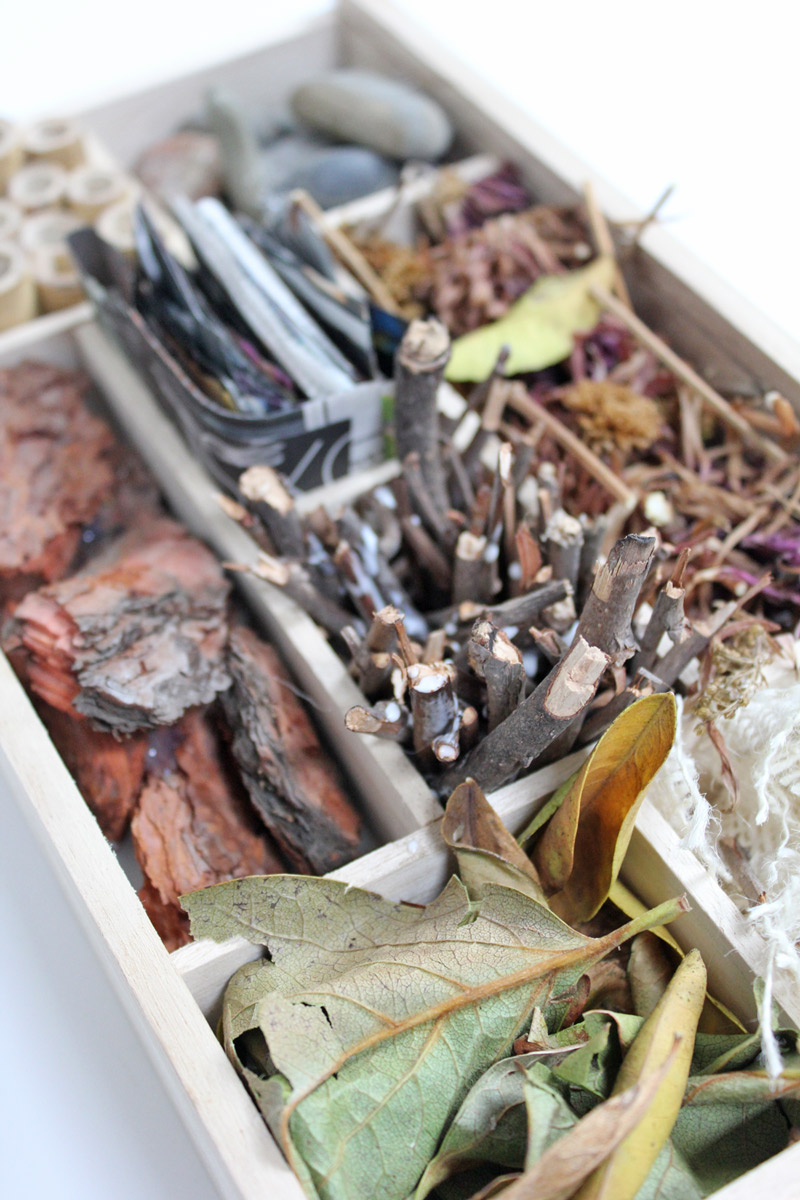 Science for Kids: Make a DIY Insect Hotel for the upcoming winter!