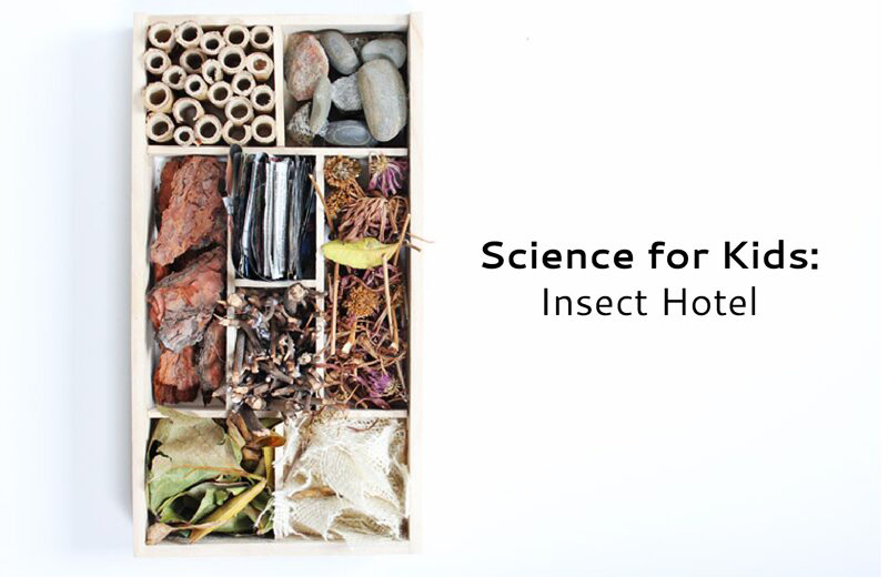 Hôtel à insectes — Wikipédia