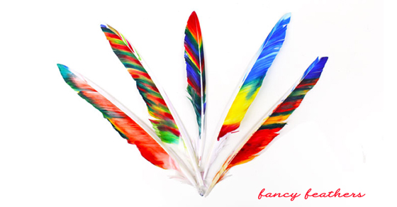 10 Fun Feather Crafts For Kids - diy Thought