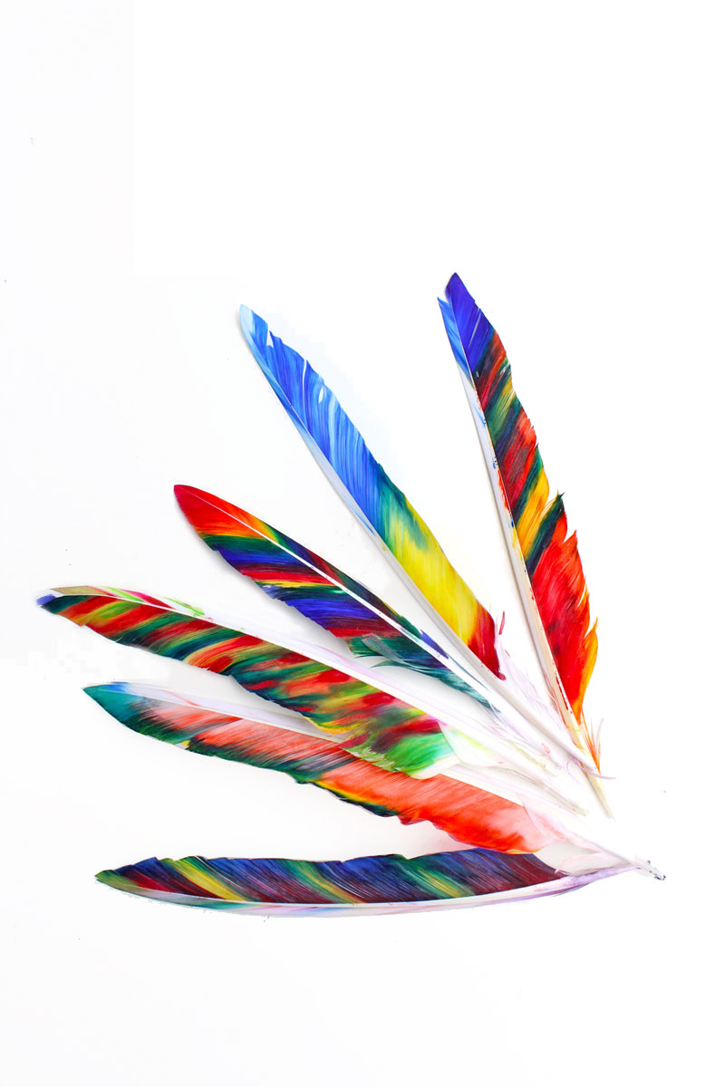 Thanksgiving crafts for kids: Fancy Feathers