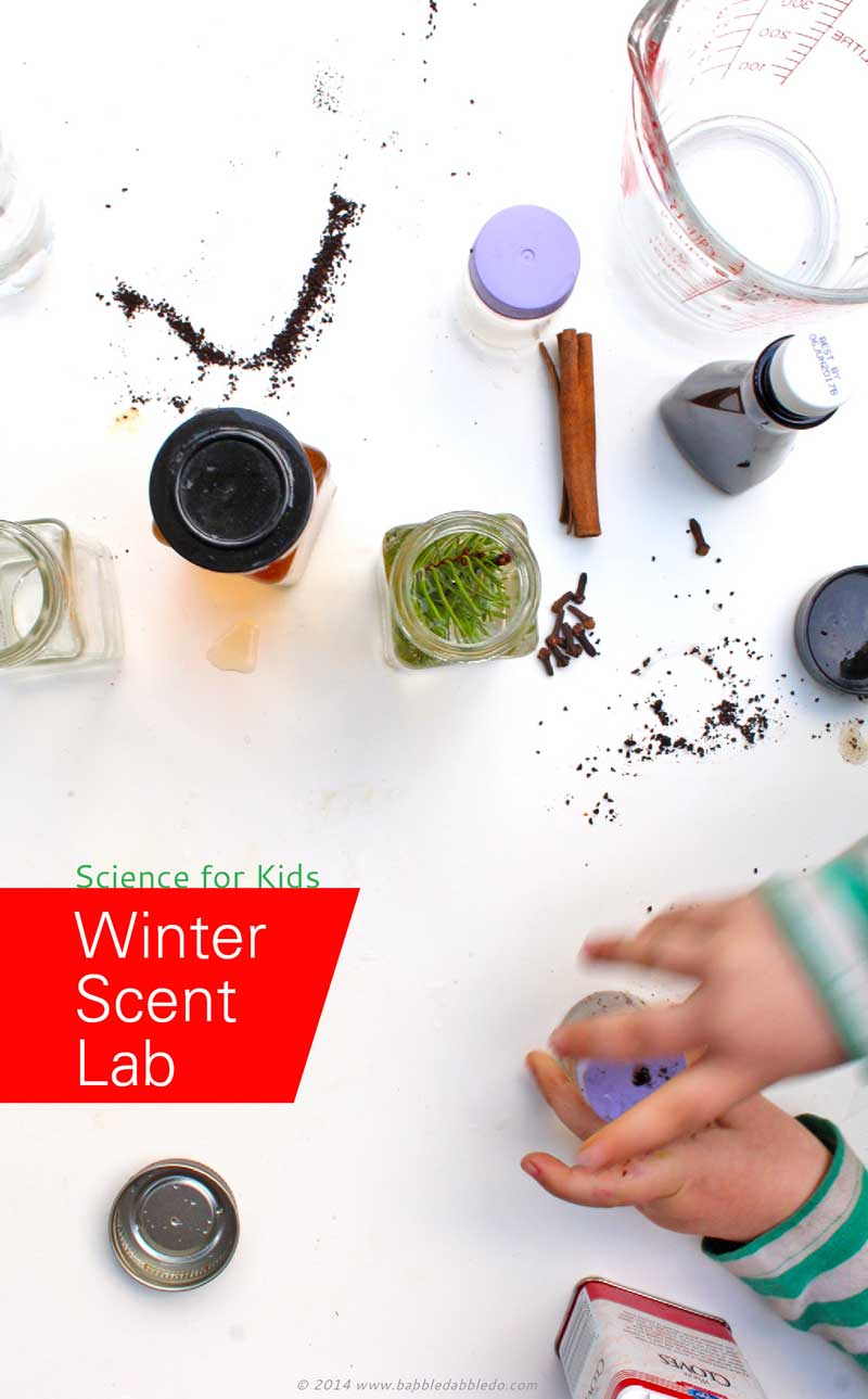 Easy Science for Kids: Set up a Winter Scent Lab