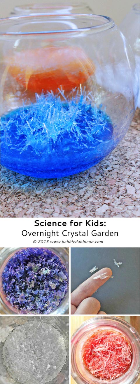 Science for Kids: How to grow crystals....OVERNIGHT!