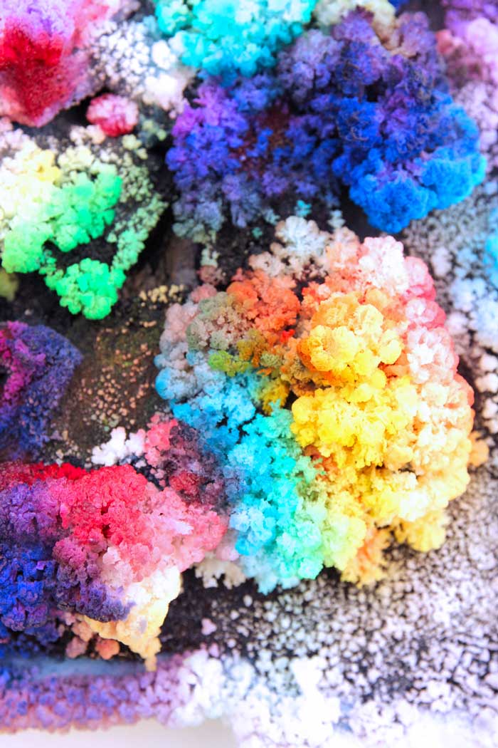 Science for Kids: Learn how to grow colorful DIY Crystal Landscapes using salt and bluing! Great science fair project.