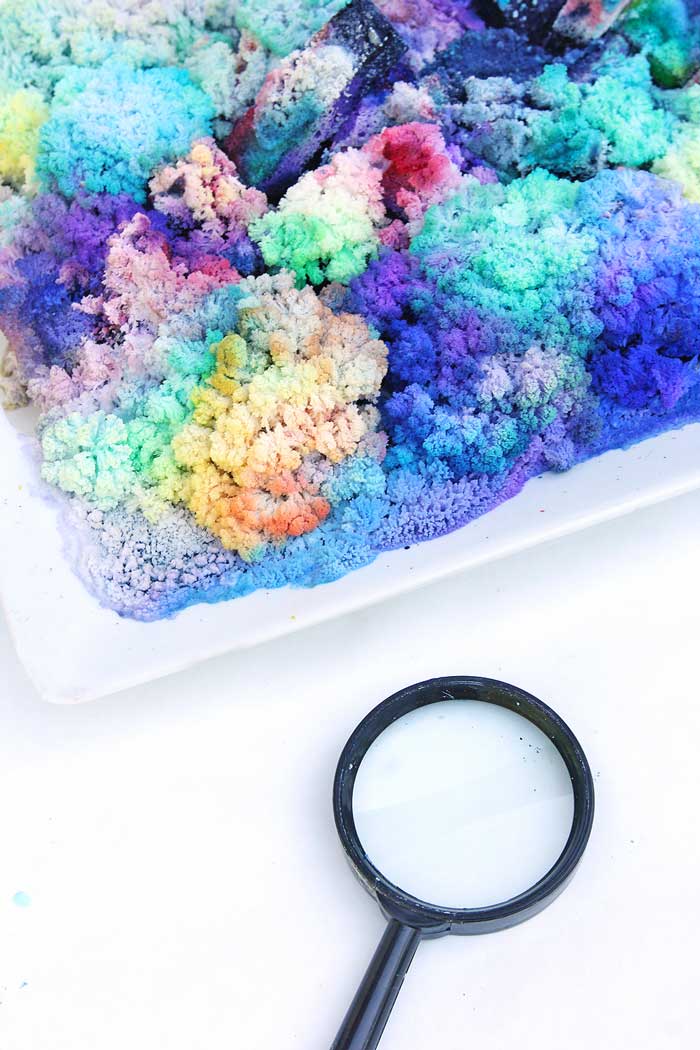 Science for Kids: Learn how to grow colorful DIY Crystal Landscapes using salt and bluing! Great science fair project.