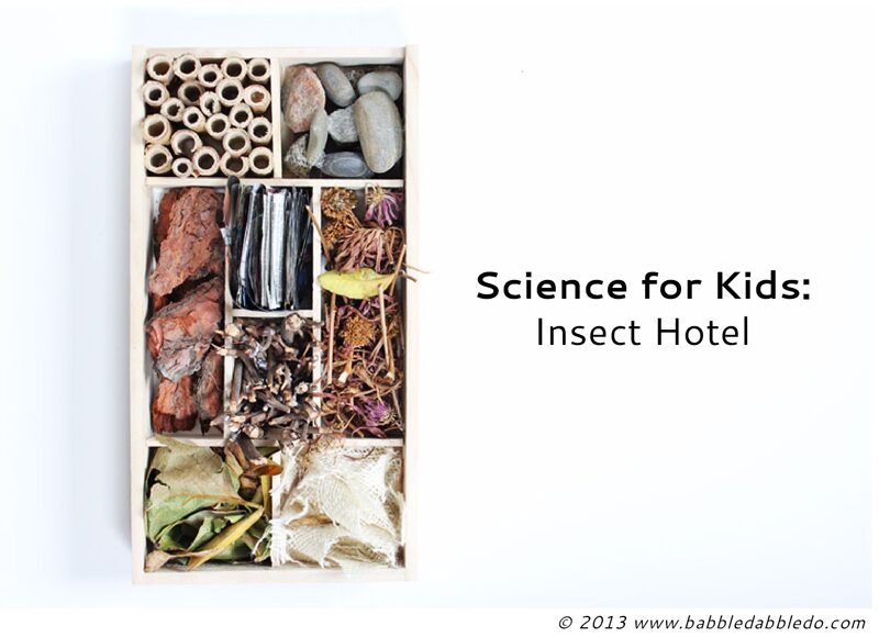 Science for Kids: Make an Insect Hotel for the upcoming winter!