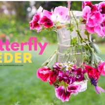 A colorful nature craft for kids: make a Butterfly Feeder to attract pollinators to your yard.