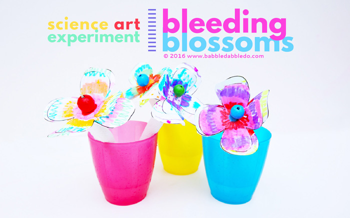 Learn about capillary action and the properties of materials in this colorful STEAM project!