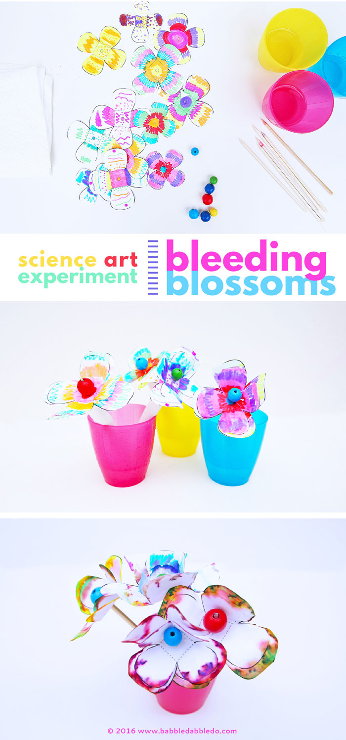 Learn about capillary action and the properties of materials in this colorful STEAM project!